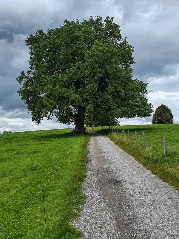 CI UR 202120210829-20210829_144328.jpg