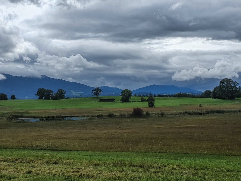 CI UR 202120210829-20210829_150632.jpg