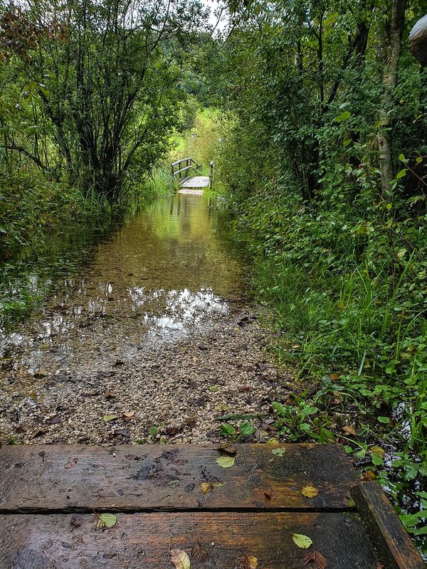 CI UR 202120210830-20210830_162540.jpg