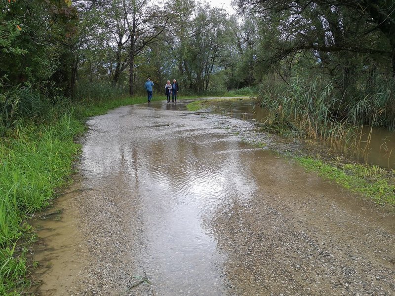 CI UR 202120210830-IMG_20210830_163049.jpg