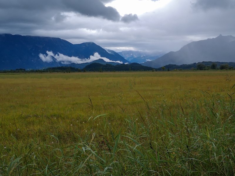 CI UR 202120210830-IMG_20210830_164430.jpg