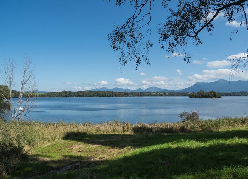 CI UR 2021P9010001.jpg