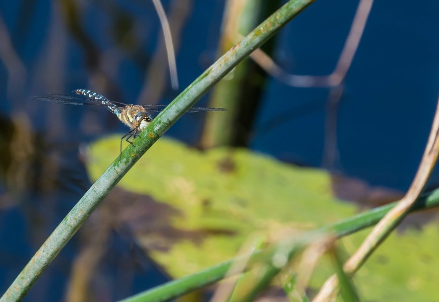 CI UR 2021P9010003-Bearbeitet.jpg