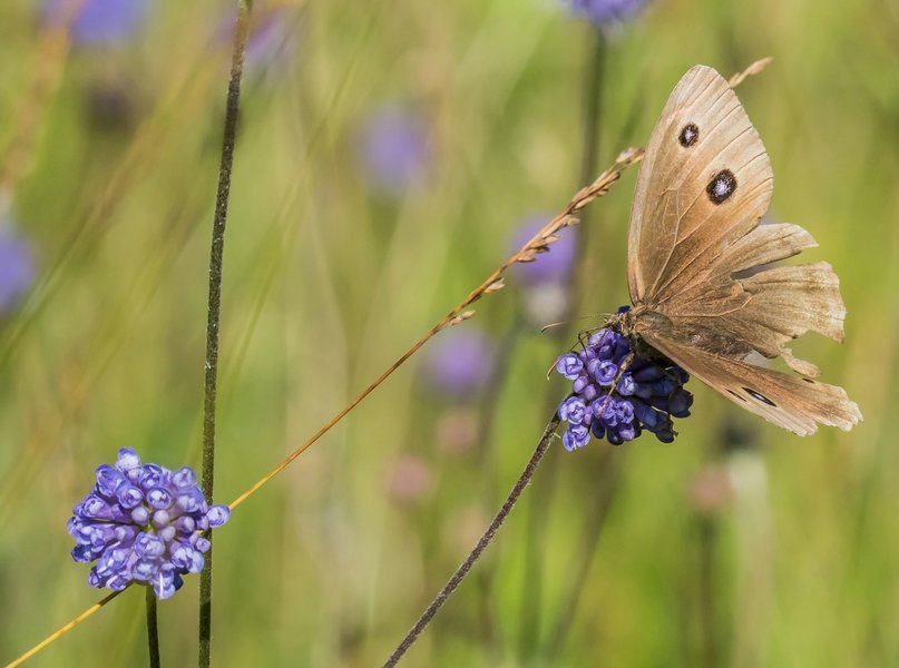 CI UR 2021P9010045.jpg