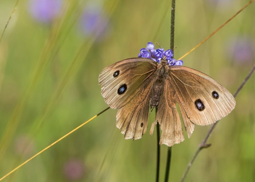 CI UR 2021P9010066.jpg