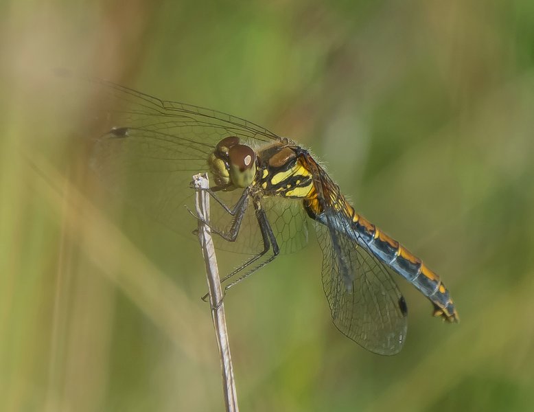 CI UR 2021P9010082.jpg