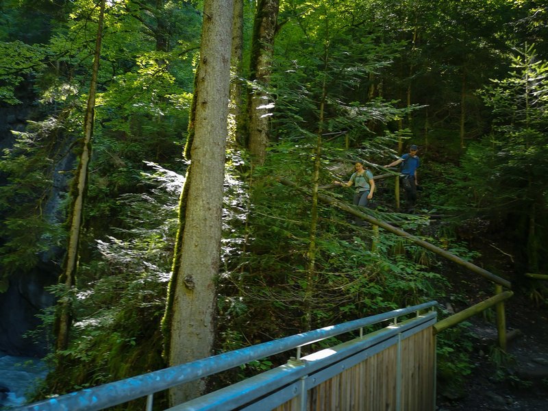 CI UR 202120210902-IMG_20210902_140135.jpg