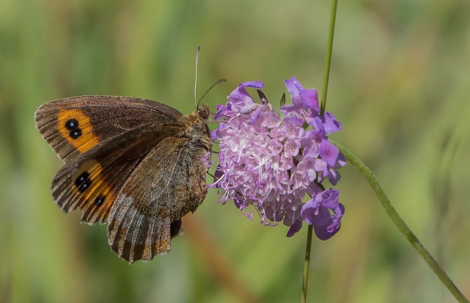 CI UR 2021P9030121-Bearbeitet.jpg