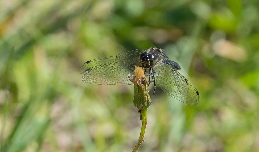 CI UR 2021P9030142-Bearbeitet.jpg