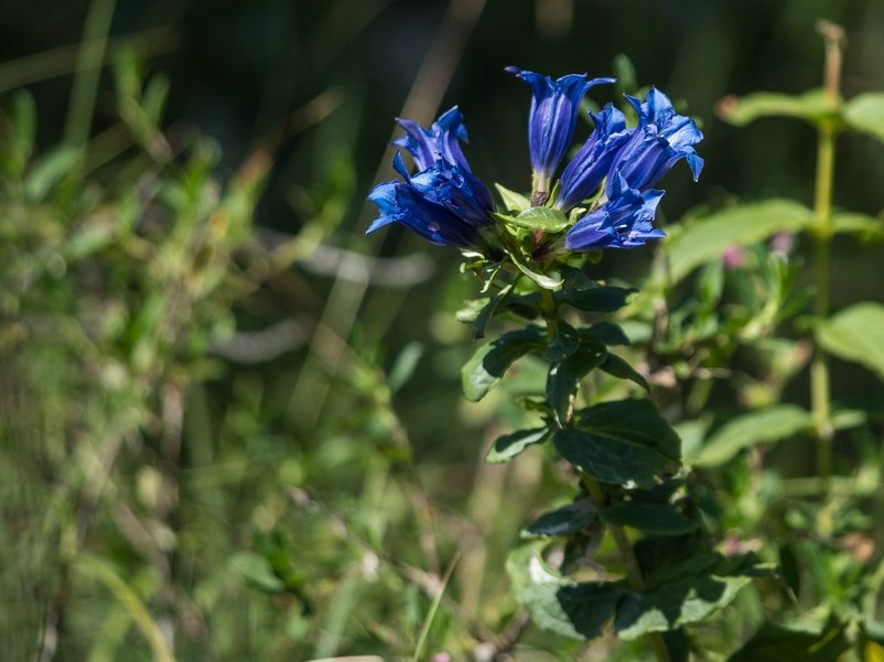 CI UR 2021P9030204.jpg