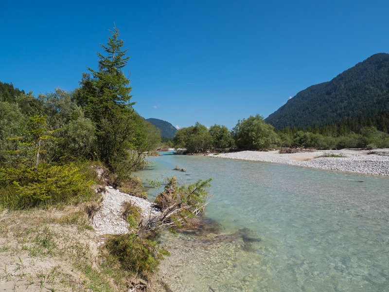 CI UR 2021P9030205.jpg