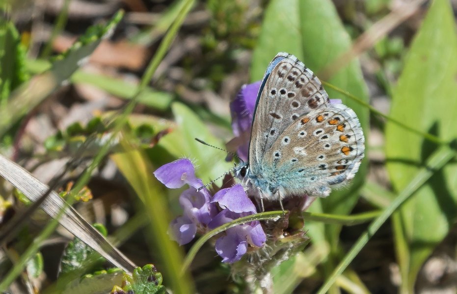 CI UR 2021P9030251.jpg