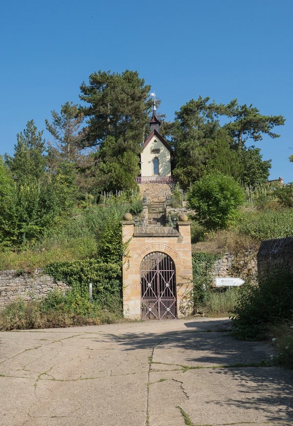 CI UR 2021P9060261.jpg