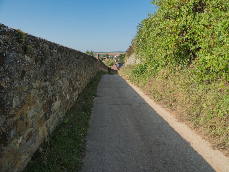 CI UR 2021P9060267.jpg