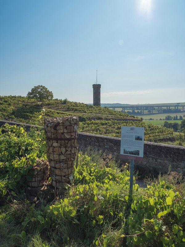 CI UR 2021P9060272.jpg