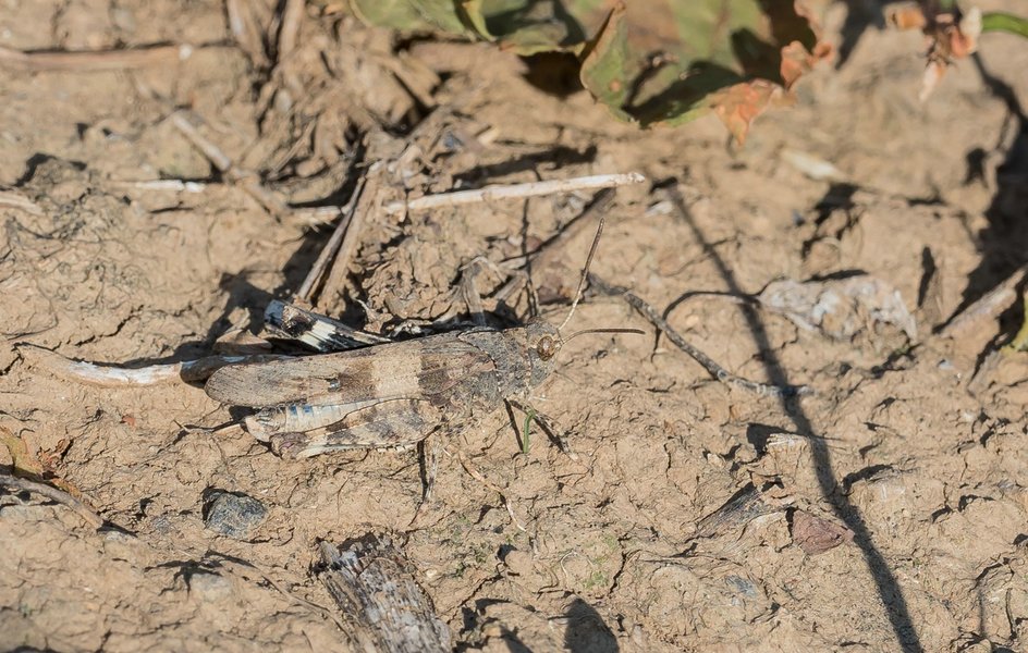 CI UR 2021P9060277.jpg