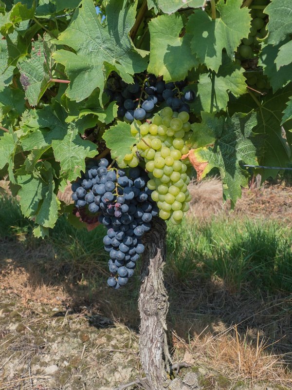 CI UR 2021P9060300.jpg