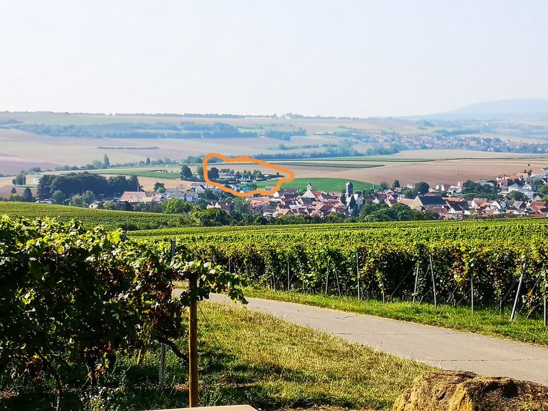 CI UR 202120210906-IMG_20210906_124700.jpg