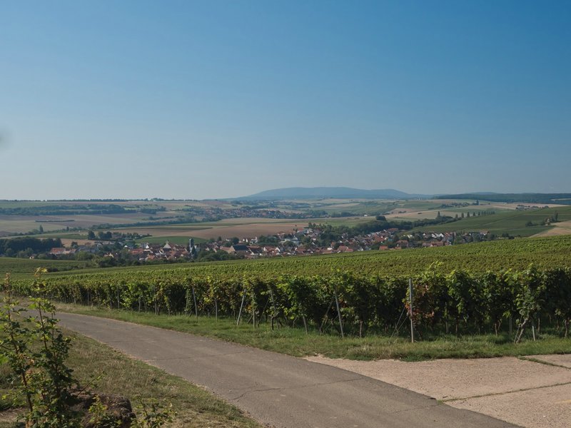 CI UR 2021P9060305.jpg