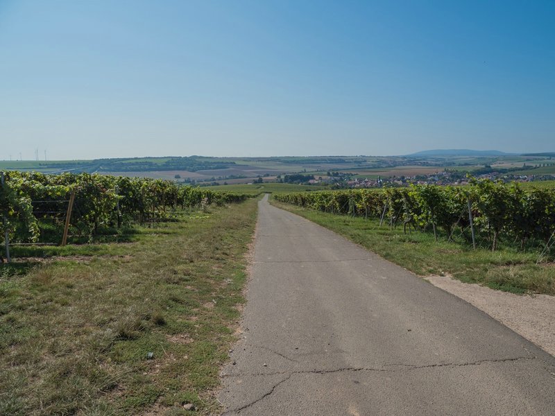 CI UR 2021P9060311.jpg