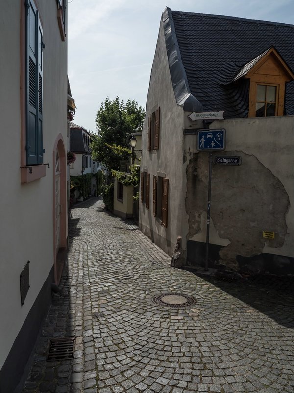 CI UR 2021P9070370.jpg