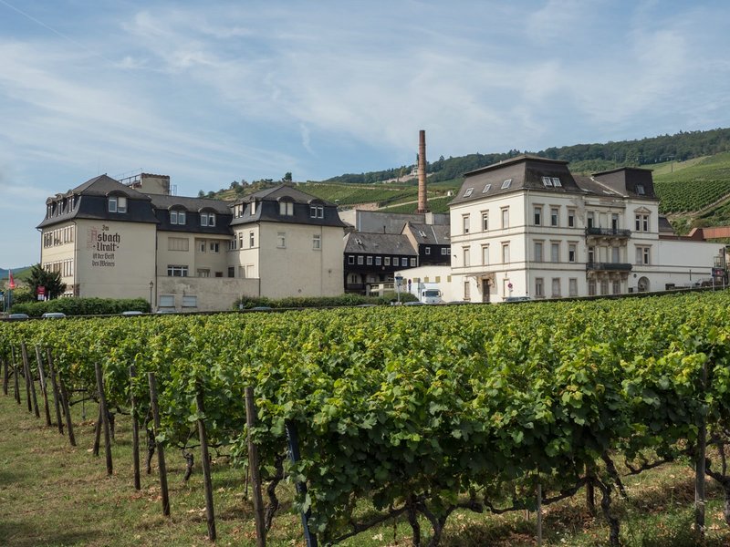 CI UR 2021P9070402.jpg