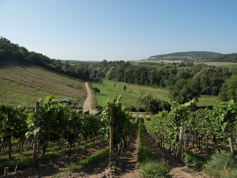 CI UR 2021P9080427.jpg