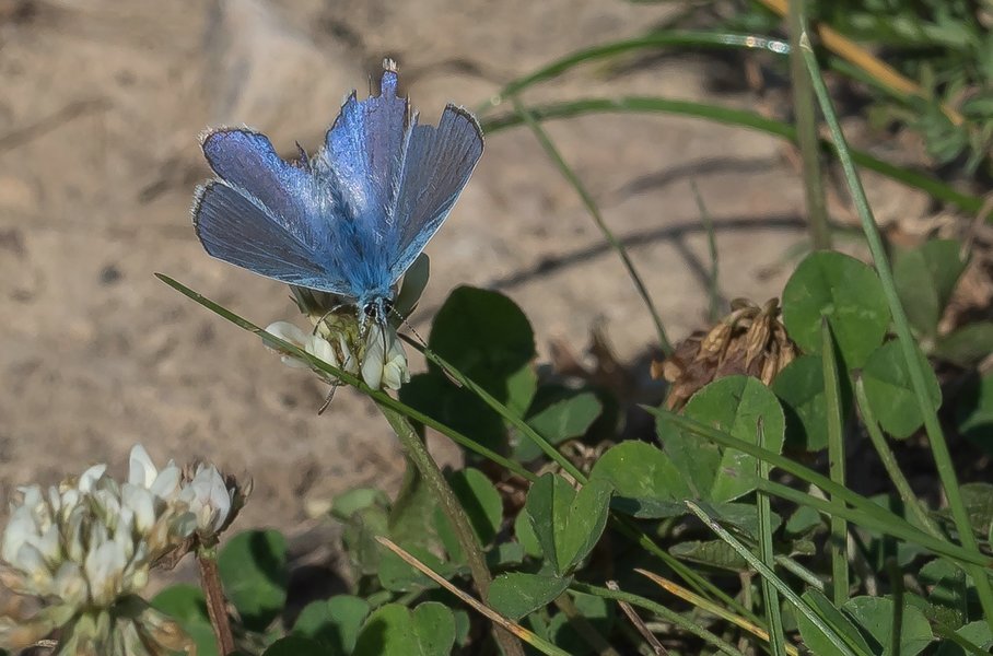 CI UR 2021P9080444.jpg