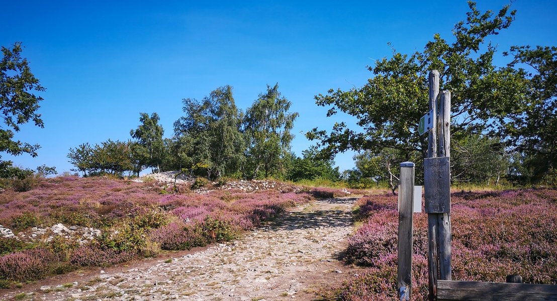 CI UR 202120210908-IMG_20210908_115430.jpg