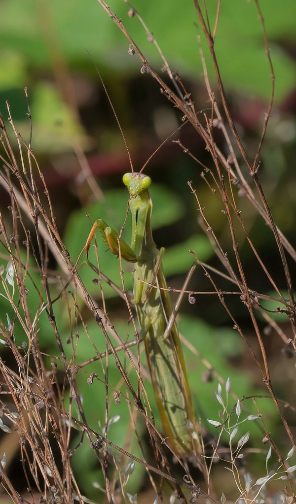 CI UR 2021P9080480-Bearbeitet.jpg