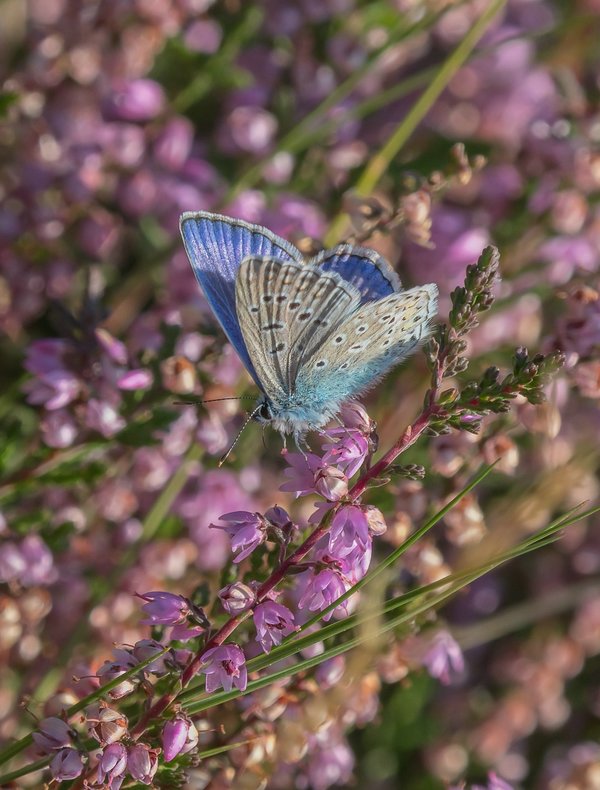 CI UR 2021P9080512-Bearbeitet.jpg