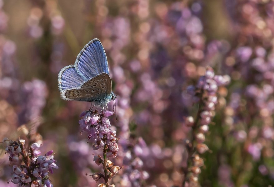 CI UR 2021P9080554-Bearbeitet.jpg