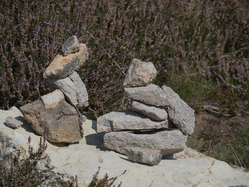 CI UR 2021P9080591.jpg