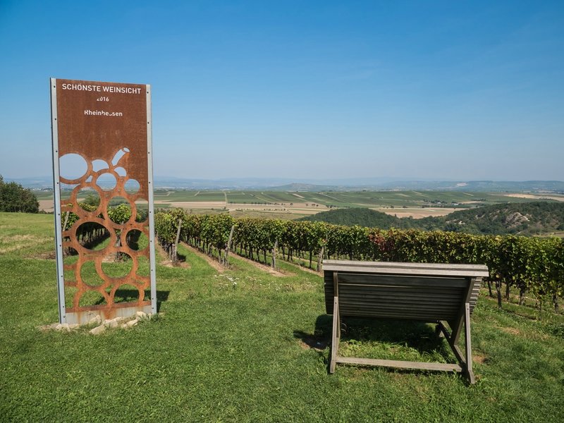 CI UR 2021P9080596.jpg