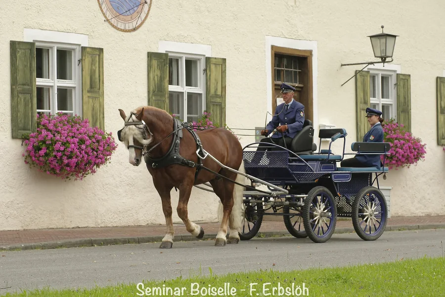_IMG4560_DxO.webp