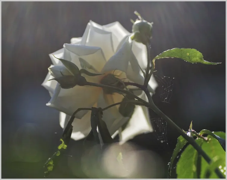 _small__IMG3042_1_DxO.webp