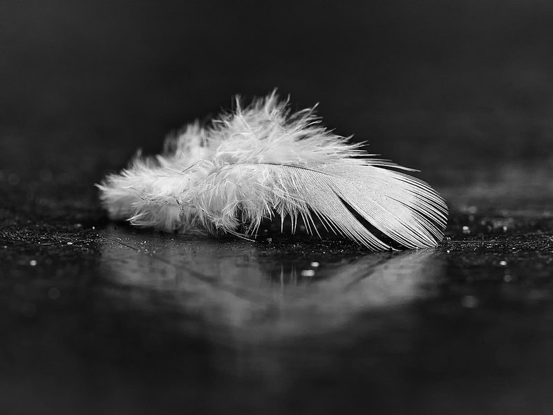 ci_PG9_5898_sep.jpg