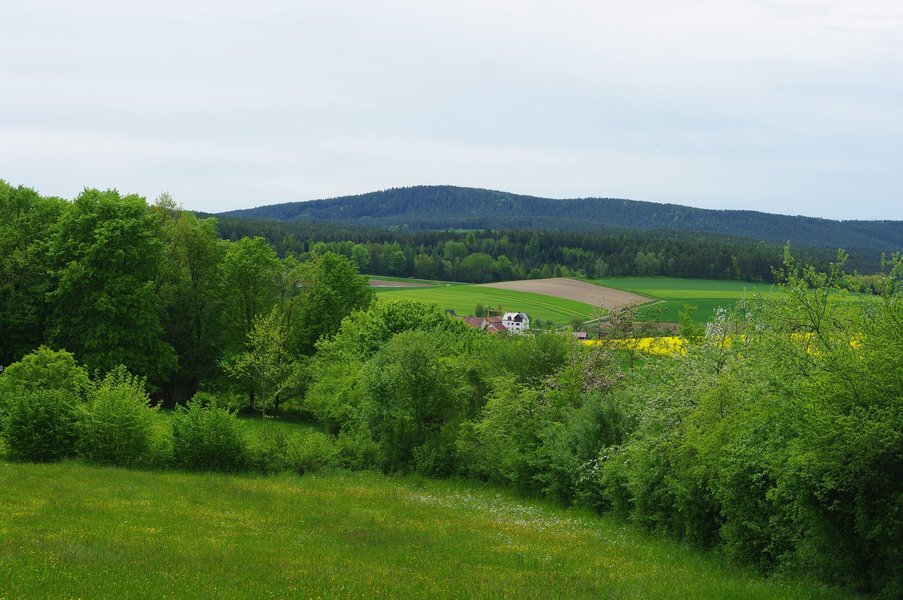 IMGP6147.jpg