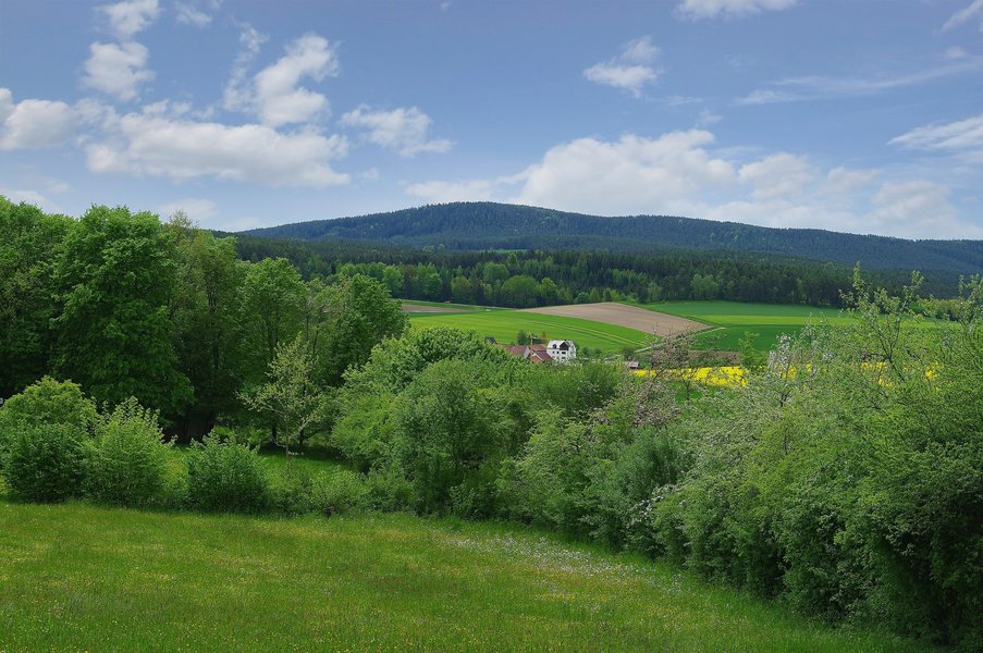 IMGP6147v1.jpg_Export.jpg