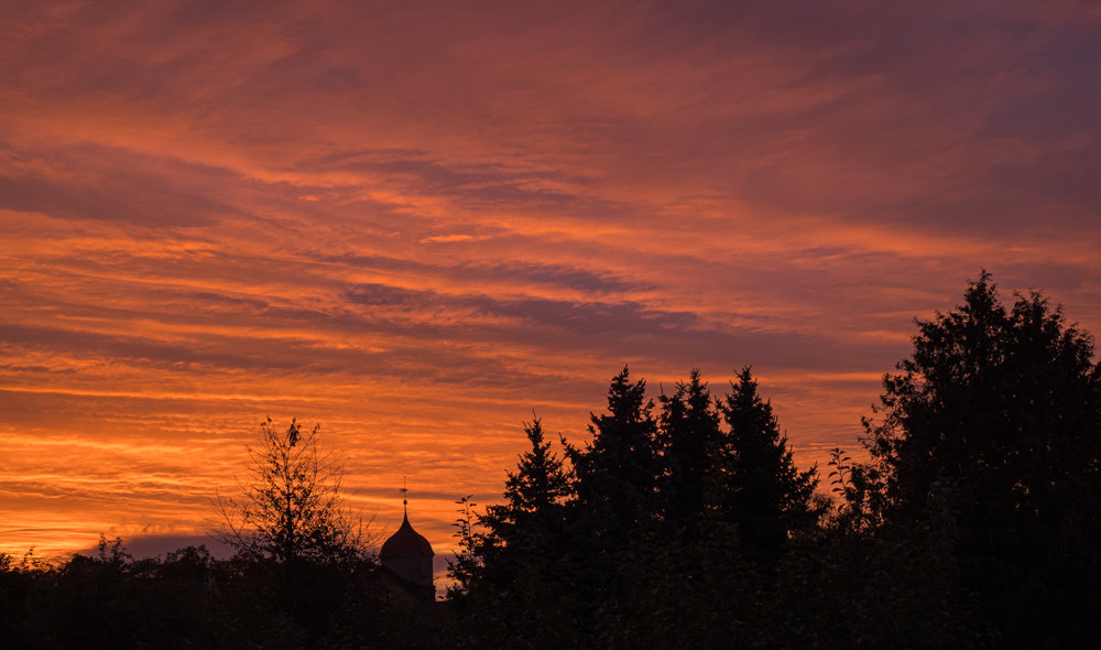 Sedlitz 2021-1181.jpg