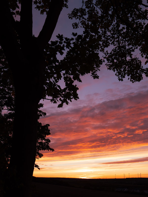 ci_PG9_6010.jpg