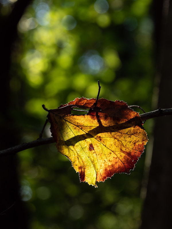 ci_PG9_6087.jpg