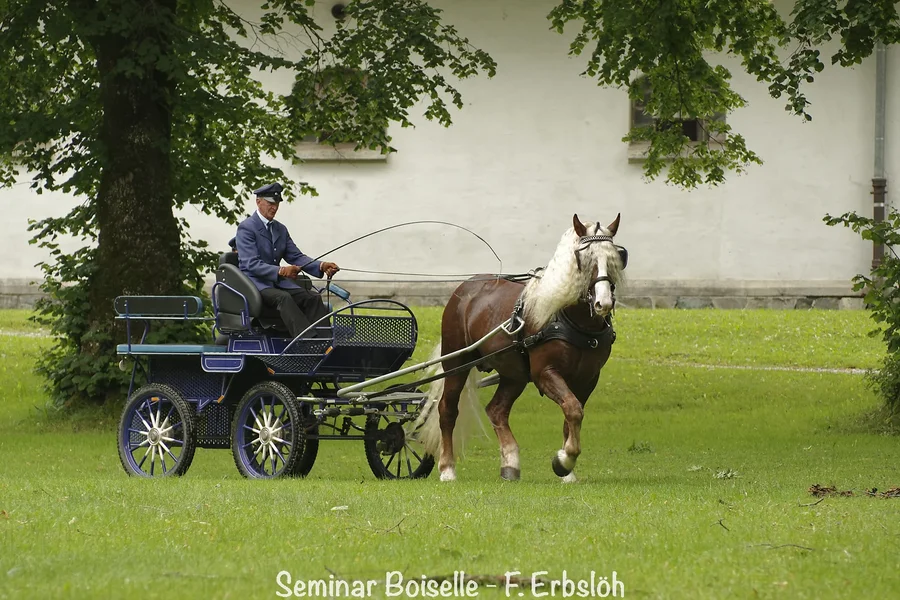 _IMG4682_DxO.webp