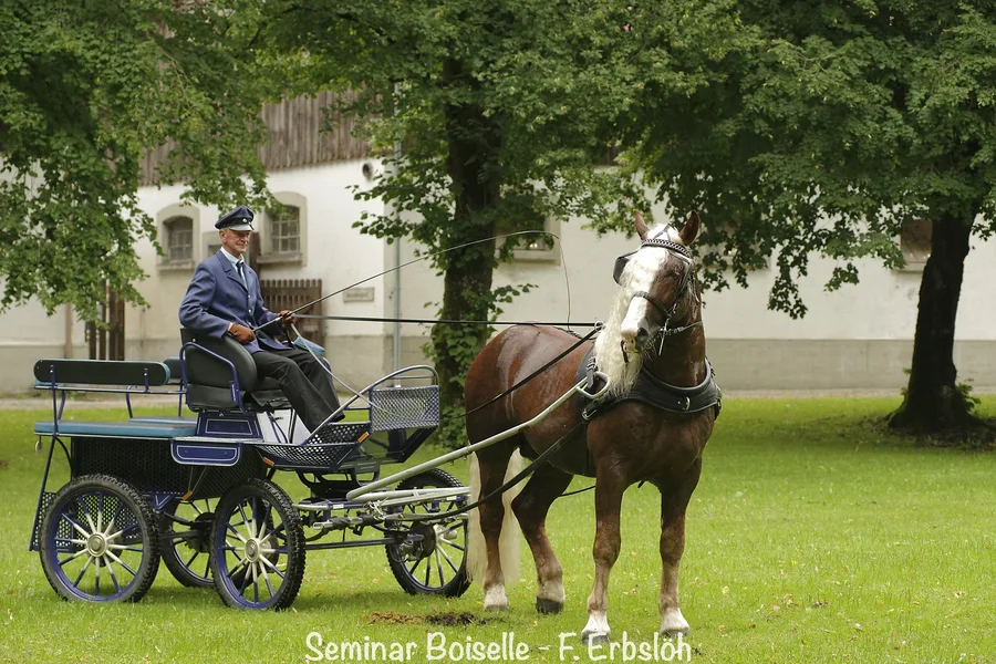 _IMG4775_DxO.webp