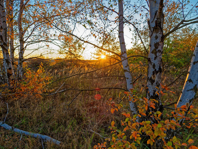 Sedlitz 2021-1248_DxO-Bearbeitet.jpg