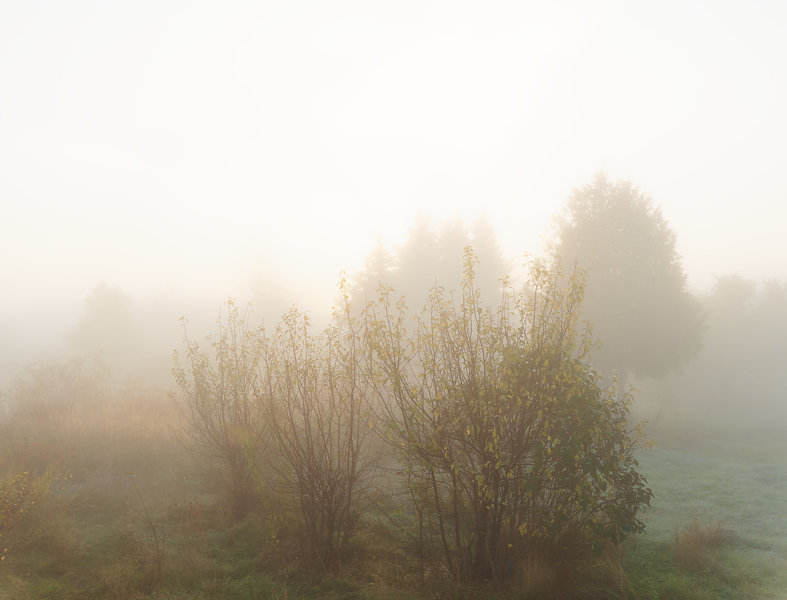 Sedlitz 2021-1236_DxO.jpg