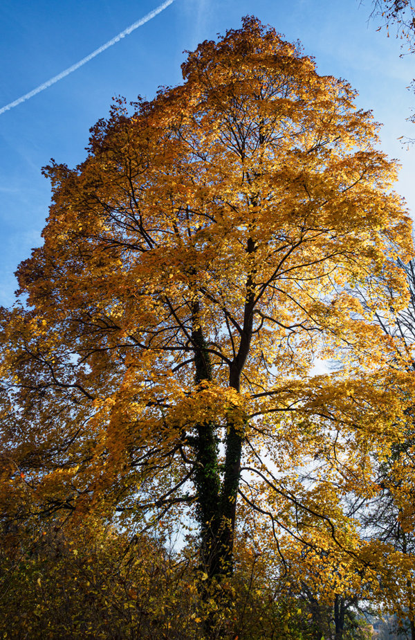 Bad Muskau 2021-25-Bearbeitet.jpg