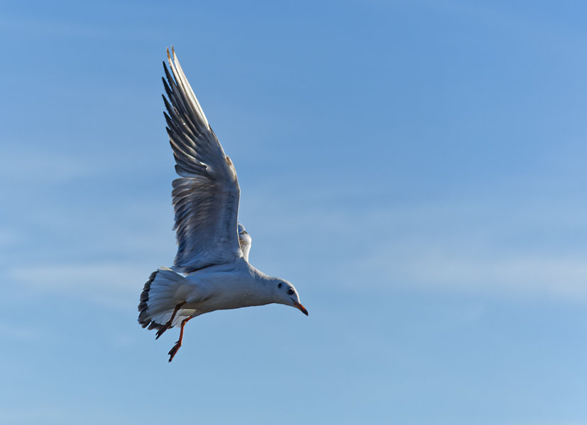 Waren 2017-82_DxO-Bearbeitet.jpg