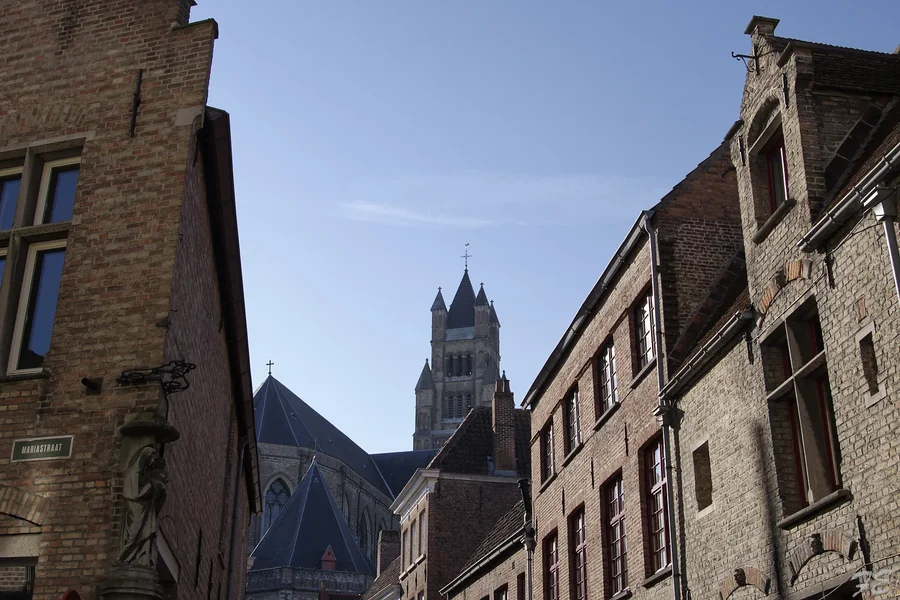 _IMG7906_DxO.webp