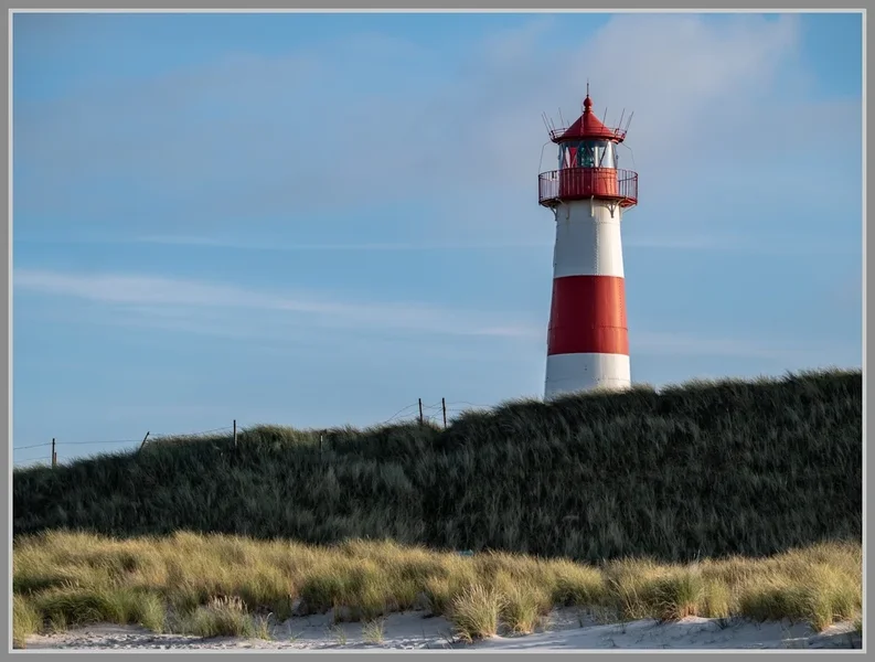_DMA7123.webp